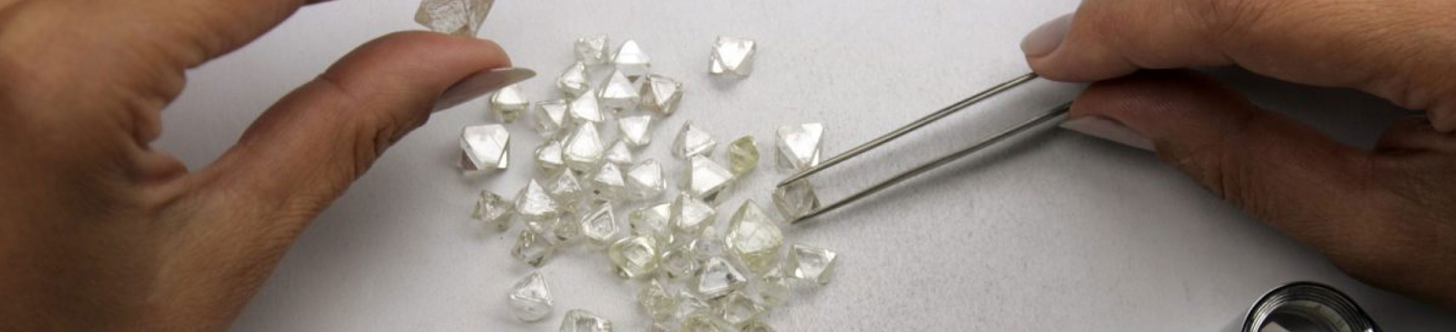 Rough diamonds being inspected.